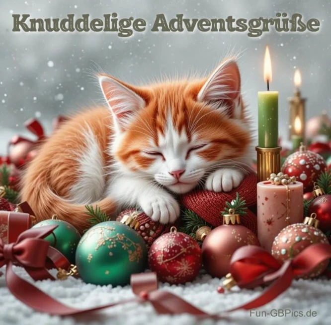 Knuddelige Adventsgrüße