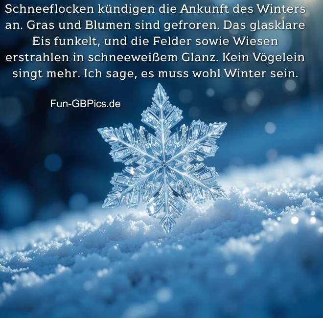 Schneeflocken kündigen die Ankunft des Winters an. Gras und Blumen sind gefroren. Das glasklare Eis funkelt, und die Felder sowie Wiesen erstrahlen in schneeweißem Glanz. Kein Vögelein singt mehr. Ich sage, es muss wohl Winter sein.