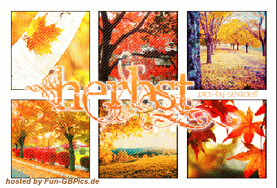 Herbst Gaestebuch Bilder Grüsse