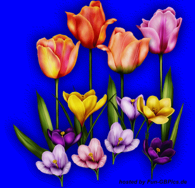 Blumen Gaestebuch Bild