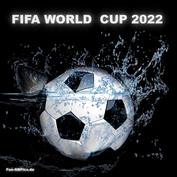 FIFA WORLD  CUP 2022